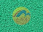 Urea: A Low Cost Nitrogen Fertilizer with Special Management Requirements